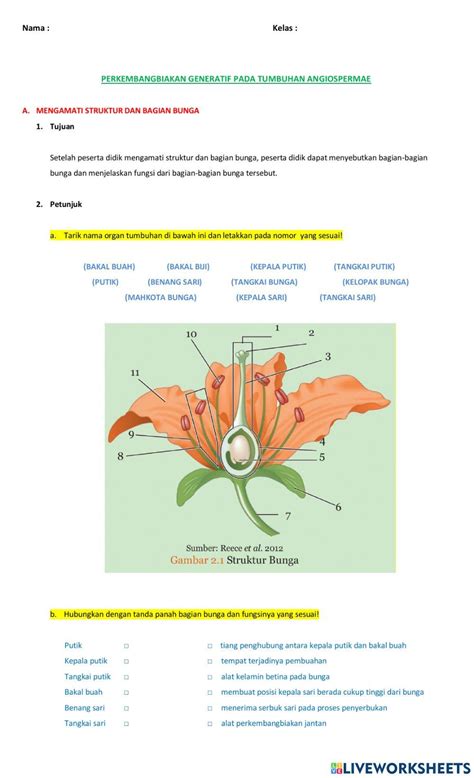 Perkembangbiakan Generatif Pada Tumbuhan Angiospermae Mengamati