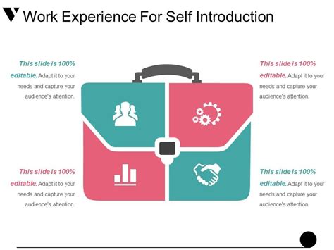 Work Experience For Self Introduction Presentation Layouts Powerpoint