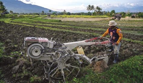 Program Ekstensifikasi Lahan Dukung Pengembangan Food Estate