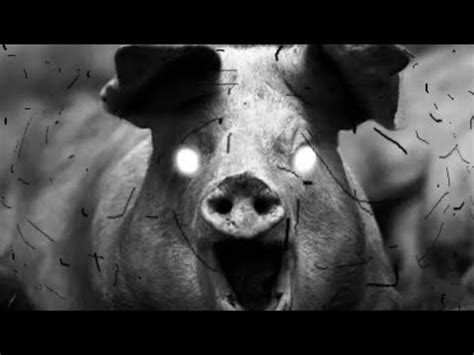 ПЯТЬ НОЧЕЙ СО СВИНТУСОМ - YouTube