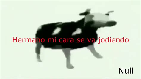 Meme De La Vaca Bailando Youtube