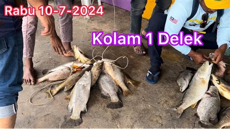 Rabu Gasakkkk Bertubitubi Di Kolam Delek Sportsfishing