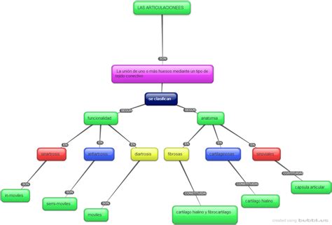 Download Mapa Conceptual De La Historia Clinica Png Nietma Images And Themelower