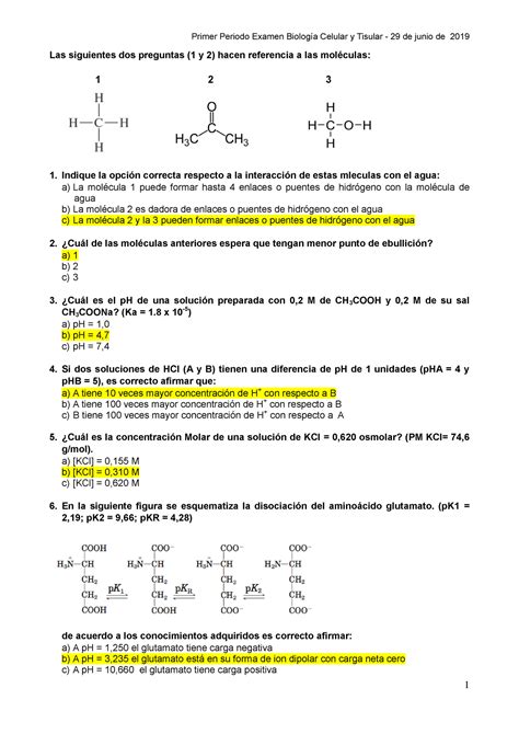 Prototipo Primer Examen Bct 29 06 19 Eutm Fmed Udelar Las Siguientes