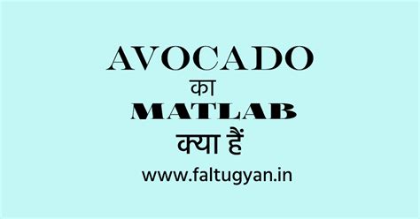 Avocado Ka Meaning मतलब Kya Hota Hai