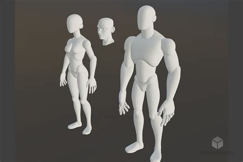 Modelo 3d gratuito de escultura de malla de base de carácter humano