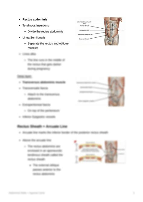 Solution Abdominal Walls Inguinal Canal Studypool