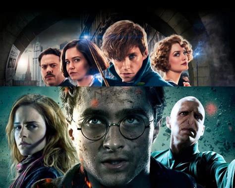 Animais Fant Sticos Tem Rela O Harry Potter Entenda