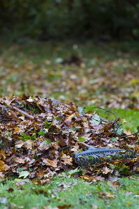 Fall Cleanup Background Images Hd Pictures And Wallpaper For Free