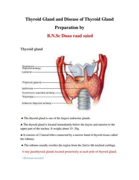 Solution Thyroid Gland And Disease Of Thyroid Gland Studypool