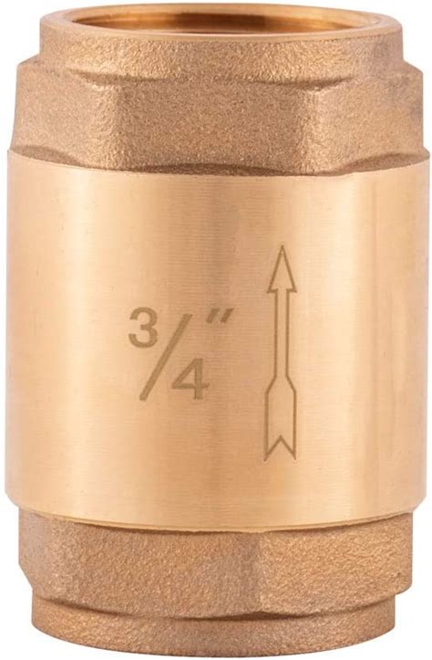 Ez Flo Brass In Line Check Valve 34 Inch Ips Stainless