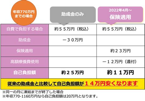 負担軽減試算 不妊治療保険適用専門サイトfch