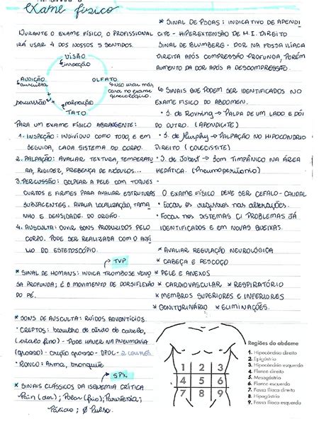 Roteiro De Exame F Sico E Anamnese Semiologia B Sica