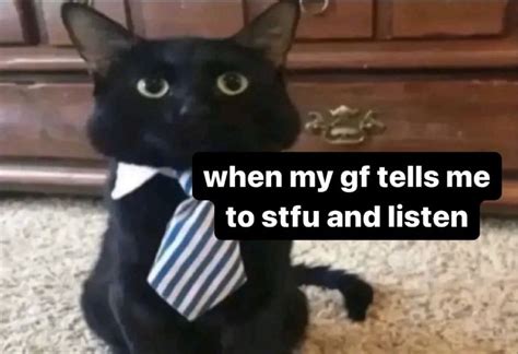 A Black Cat Wearing A Tie And Sitting On The Floor In Front Of A Dresser