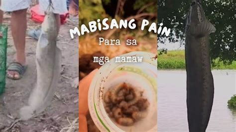 Isa Sa Mabisang Pain Pang Huli Ng Mamaw😱 Fishingadventure Youtube