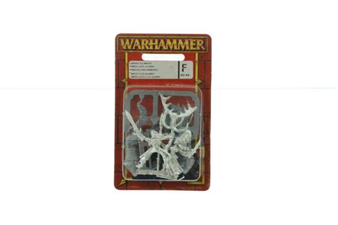 Warhammer Fantasy Wood Elf Mage Foot Mounted WHTREASURY