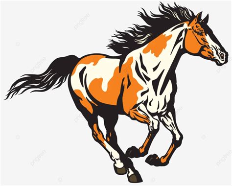 Pinto Horse Animal Vector Freedom Vector Animal Vector Freedom Png