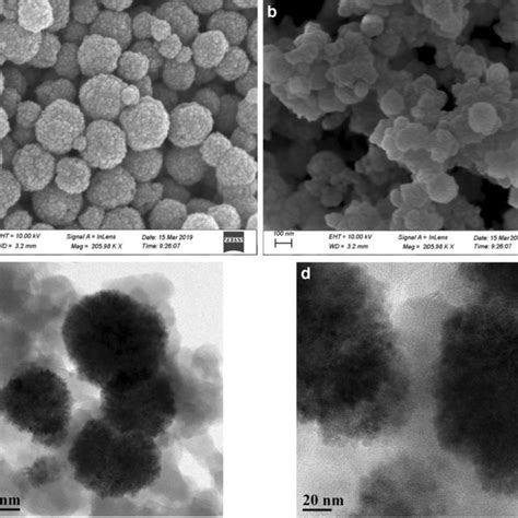 a. SEM image of Fe3O4. b. SEM image of Fe3O4@COFs. c and d. TEM image ...