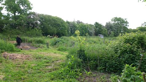 Sécheresse Les forêts jardins solution miracle pour préserver la