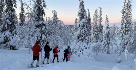 Levi Escursione Con Le Racchette Da Neve Nel Parco Nazionale Di Pallas