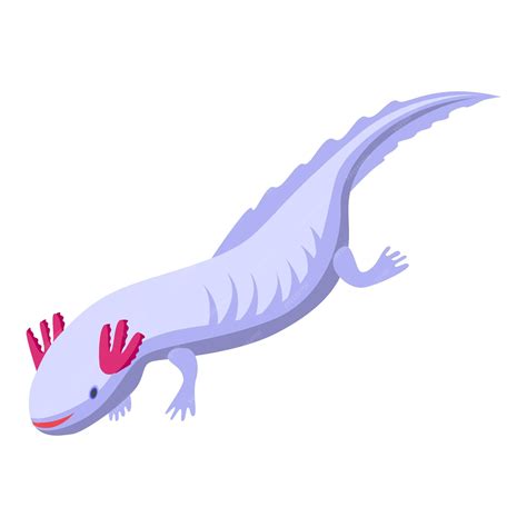 Axolotl Amfibieën Pictogram Isometrisch Van Axolotl Amfibieën Vector