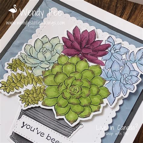 Stampin Up Simply Succulents Colouring With Stampin Blends Wendy S