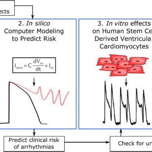 In Silico Test Process For Drug Safety Evaluation In Silico Models