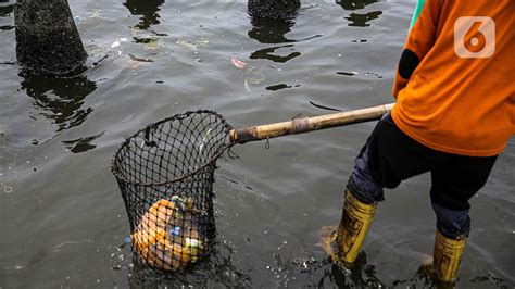 Dinas Lingkungan Hidup Teliti Temuan Air Laut Teluk Jakarta Mengandung