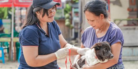 Sukseskan Ktt G Bali Kendalikan Pmk Dan Rabies