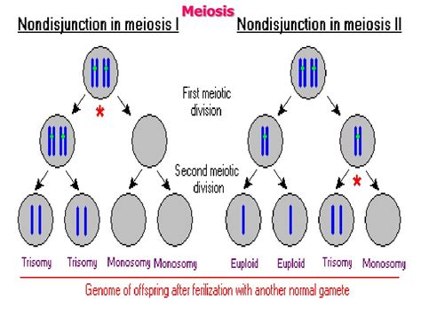Trisomy Diagram