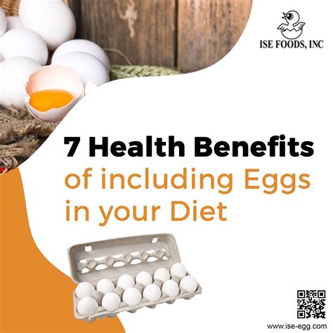 7 Health Benefits Of Including Eggs In Your Diet By Ise Suzuki Egg