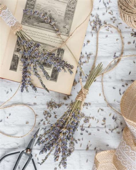 Ultimate Lavender Crafts Tutorials Roundup Lavender Crafts To Diy