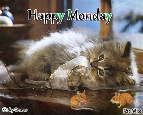 Happy Monday Cat And Mouse  Pictures Photos And Images For Facebook