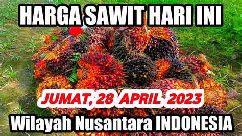 HARGA SAWIT HARI INI TERBARU 28 APRIL 2023 Wilayah Daerah Nusantara