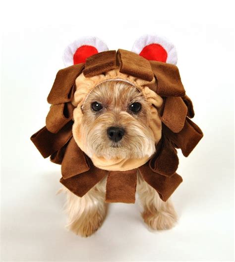 Pin On Dog Costumes