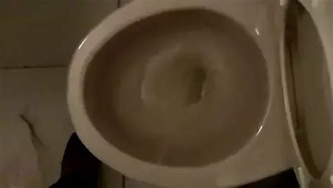 Free Hanging Cock Shemale Porn Videos XHamster