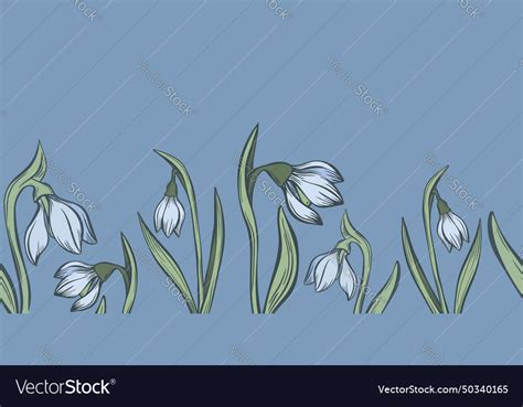 Botanical Snowdrop Flower Seamless Pattern Hand Vector Image