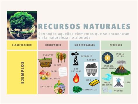 Tomidigital Recursos Naturales