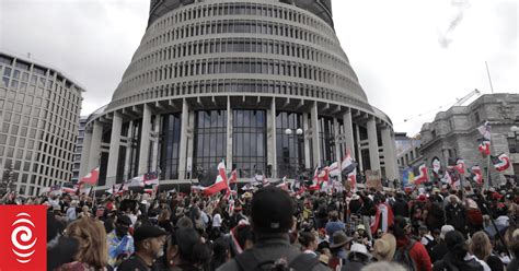 What now for the Treaty Principles Bill? | RNZ News