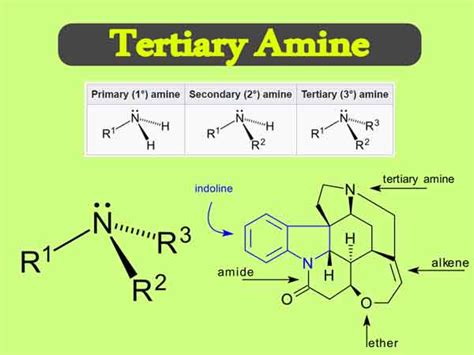 Tertiary Amine Reaction With Carboxylic Acid