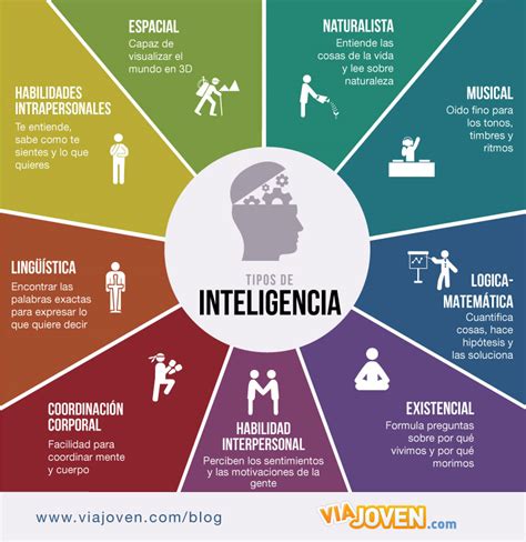 Tipos De Inteligencia Hay 9 Todo El Mundo Tiene Un Talento Especial