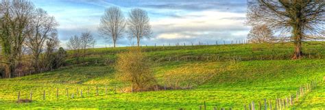 Excursiones Visitas Guiadas Y Actividades En Nava Civitatis