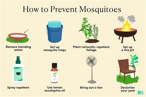 How To Avoid Mosquitoes In Backyard Ultimate Tips Tricks