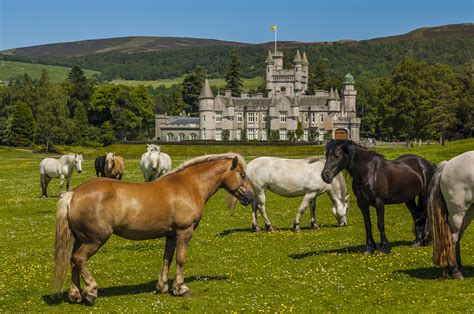 Balmoral Castle (Map, Images and Tips) | Seeker