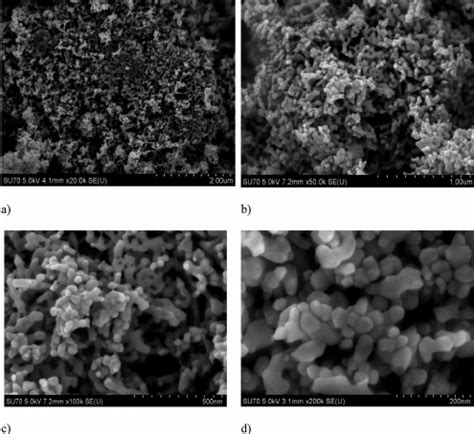 SEM Microscopy Of Zinc Oxide ZnO Nanoparticles At Different