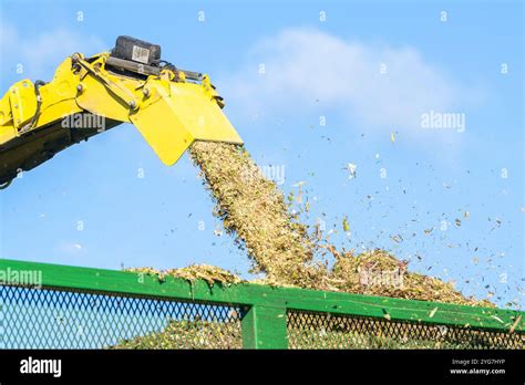 Walsh Agri Services Harvests Maize For Bauravilla Based Dairy Farmer