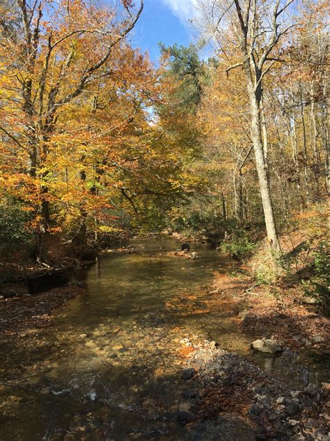 Ouachita National Forest | IH8MUD Forum