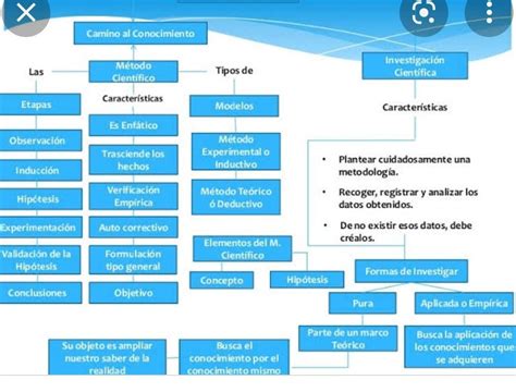 Hacemos Un Esquema Sobre La Investigacion Cientifica Sus