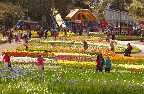 A Guide to Australia's Flower Festivals | Dream with Luxury Escapes