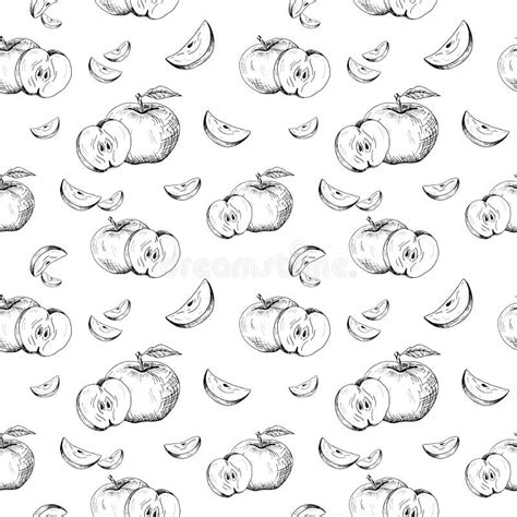 Apple Background Seamless Pattern Of Hand Drawn Black Apples On White